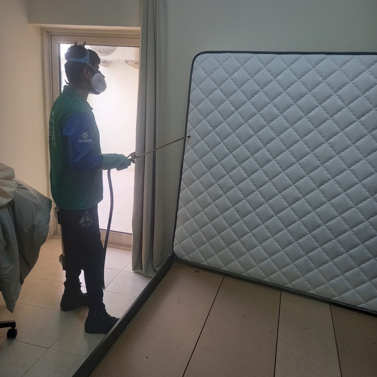 Bed Bug Treatment