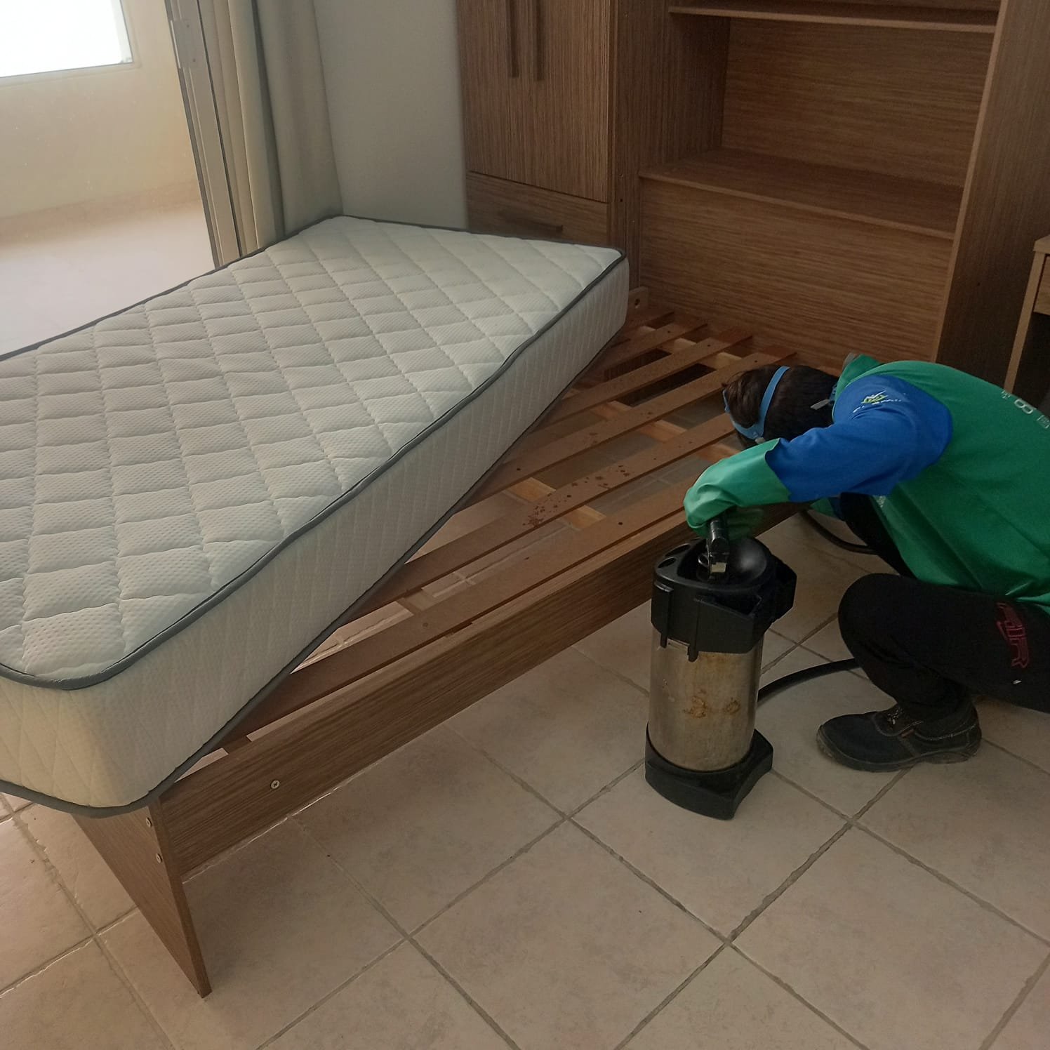 Bed Bug Treatment by Shamil Services in Dubai, photograph 4