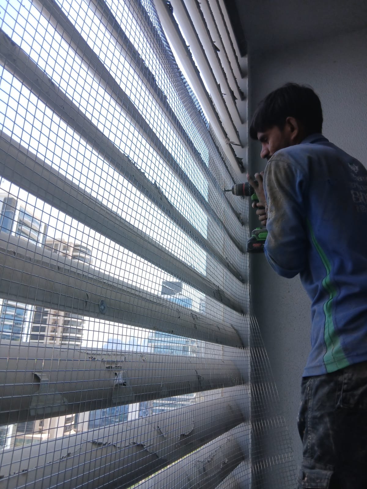 Bird Control and Netting