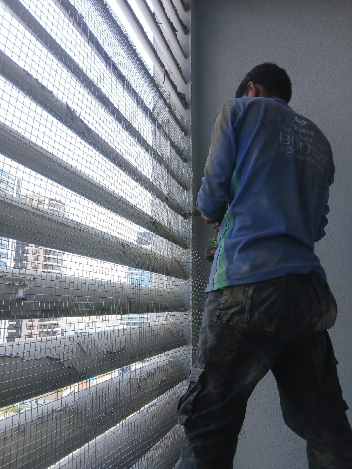 Bird Control and Netting by Shamil Services in Dubai, photograph 2