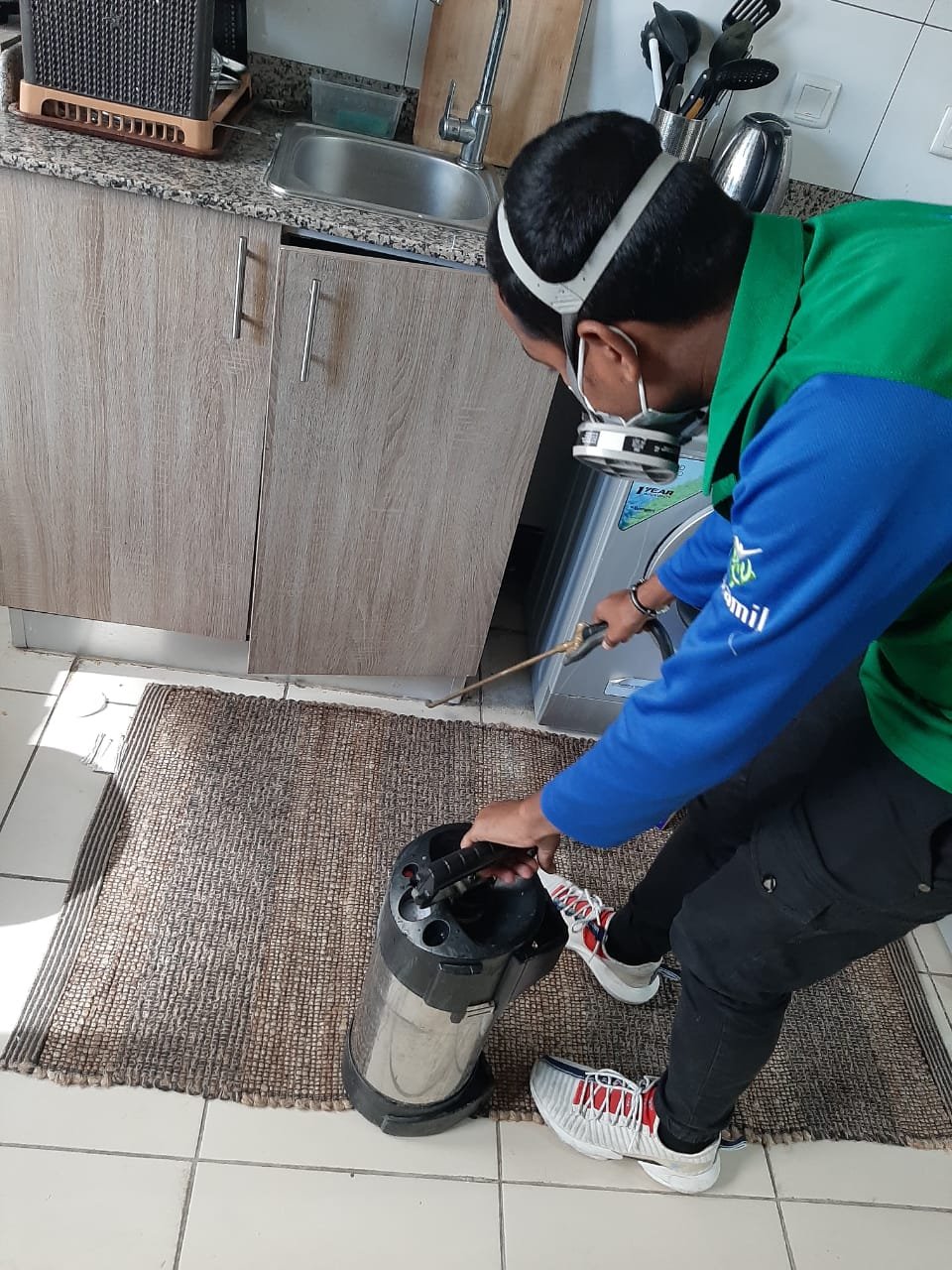 Pest Control by Shamil Services in Dubai, photograph 5