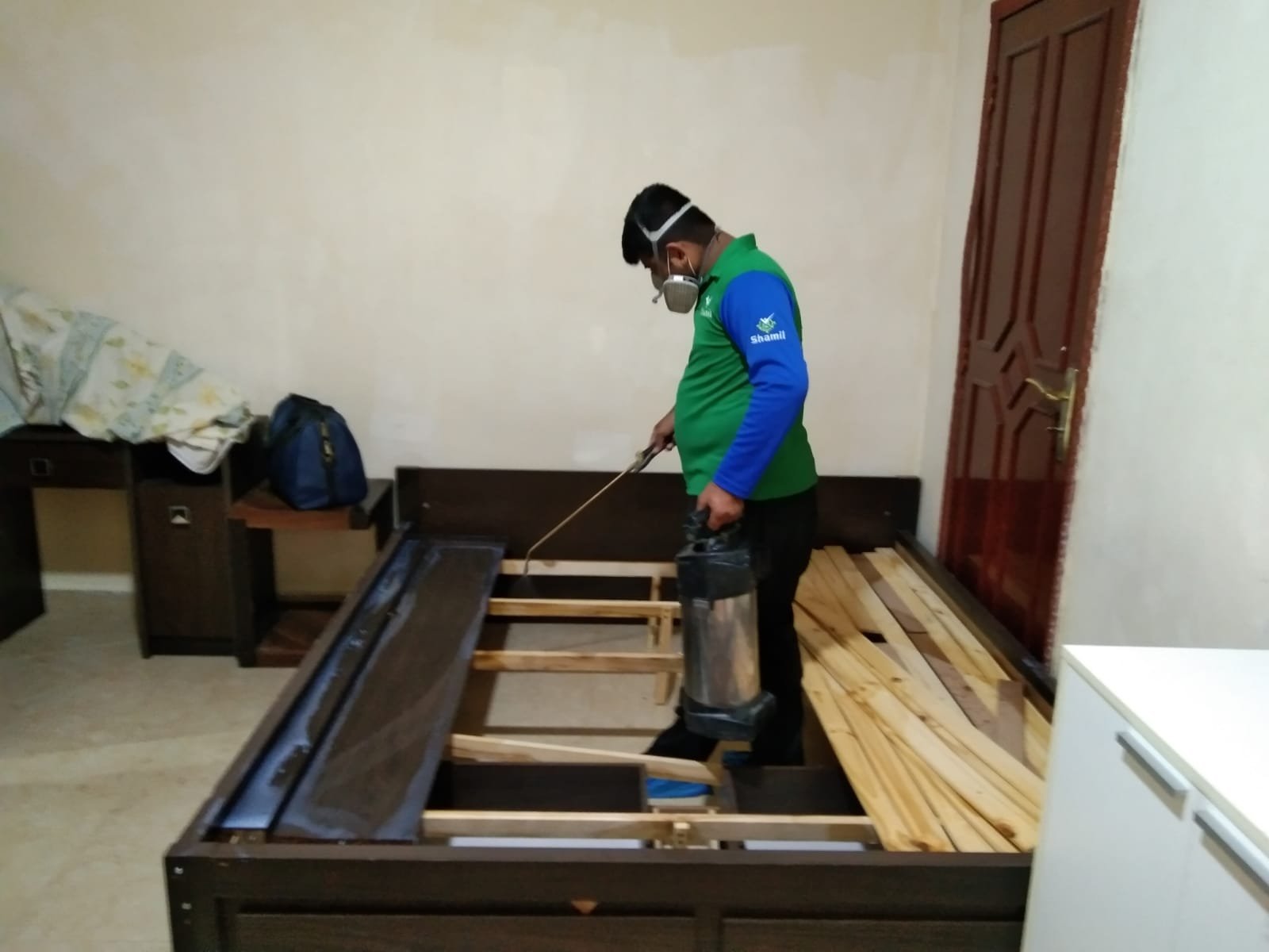 Termite Control