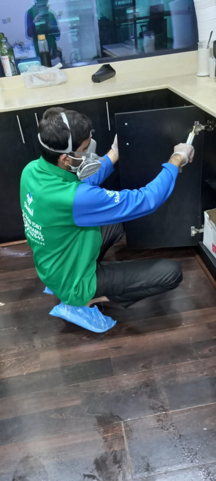Termite Control by Shamil Services in Dubai, photograph 2