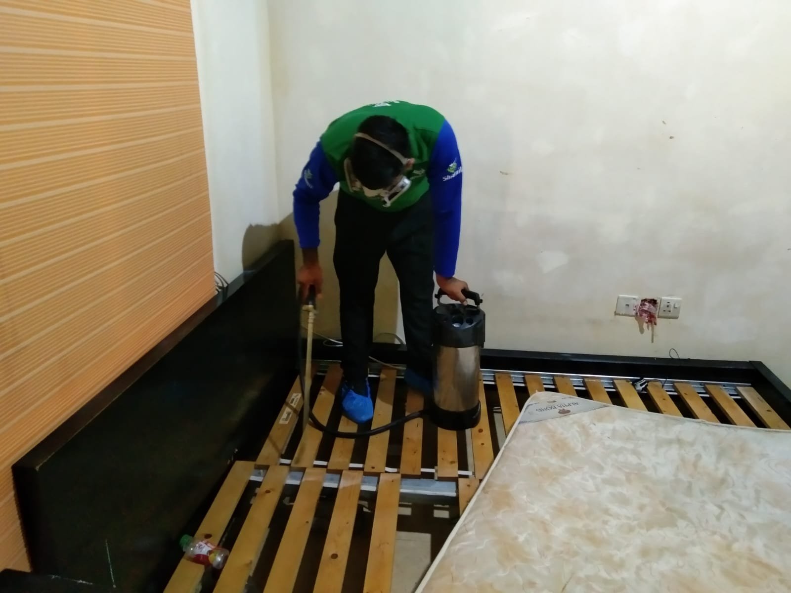 Termite Control by Shamil Services in Dubai, photograph 4